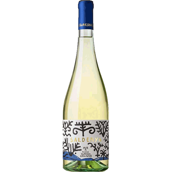 Picture of Saldenya Vermentino di Sardegna 2024